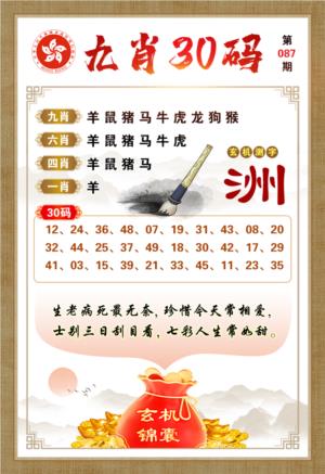 九肖30码