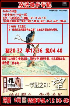凌波微步专解跑狗