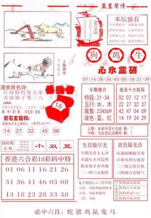 凤凰闲情B