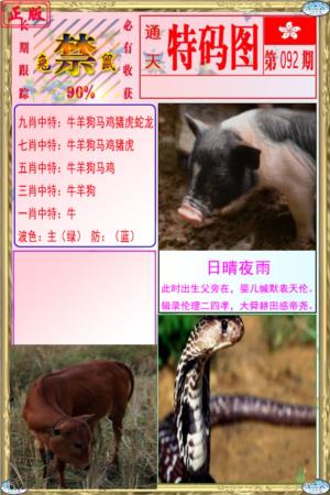 特码图