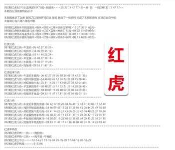 红虎综合资料