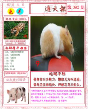 马经通天报