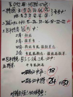 优雅心水