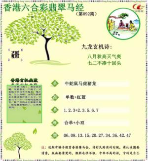 翡翠马经