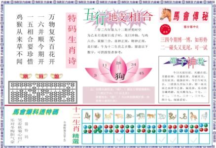 马会财经B