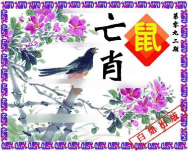 神鸟版