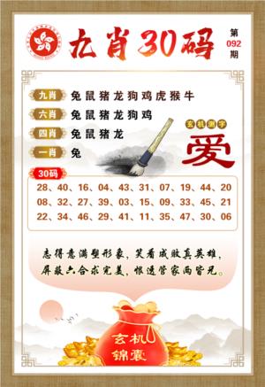 九肖30码