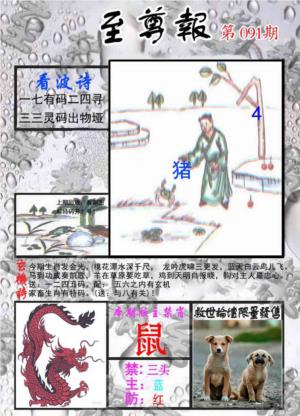 至尊报