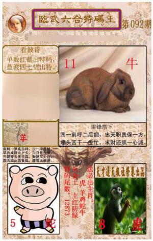 临武六合特码王
