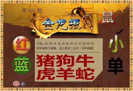 金龙报