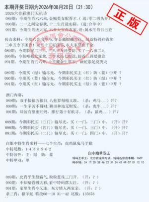 深圳特区报B