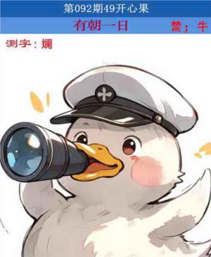 四九开心果