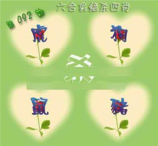 赛马会绝杀四肖