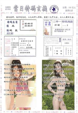 当日特码玄机-2
