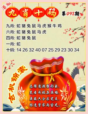 九肖十码