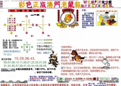 彩色正版澳门老鼠报
