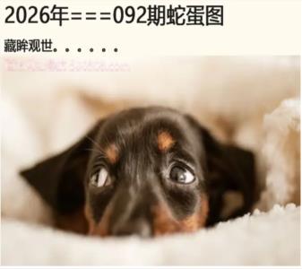 另版蛇蛋图