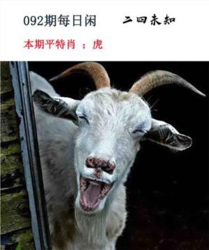 每日闲情