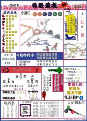 西陲透视(正版)