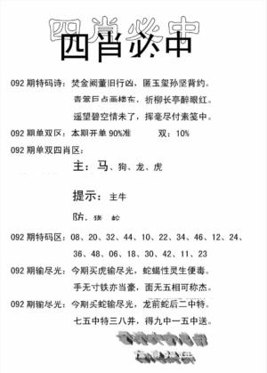 四肖中特(新)