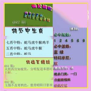 波肖门尾最佳公开版