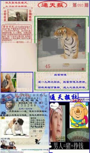 实力通天报
