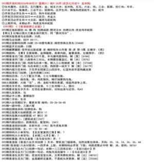 九龙挂牌全篇