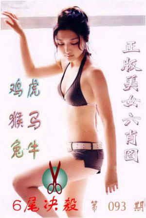 美女六肖图B