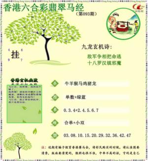 翡翠马经
