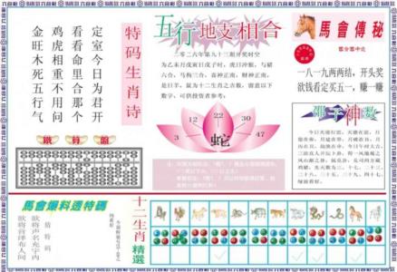 马会财经B