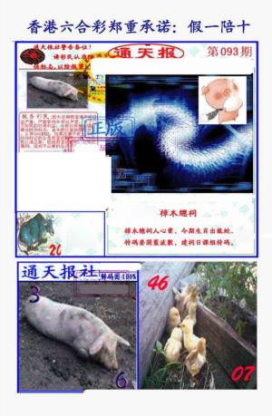 假一陪十通天报