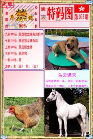 特码图