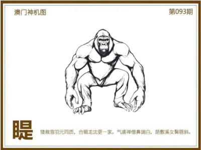 澳门神机图