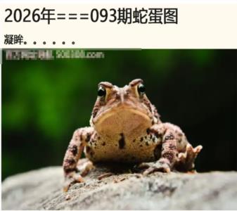 另版蛇蛋图