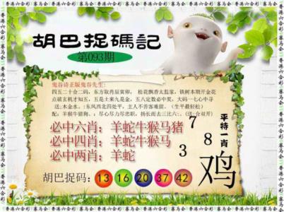 胡巴抓码记