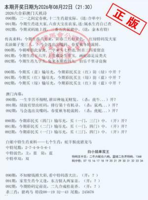 深圳特区报B