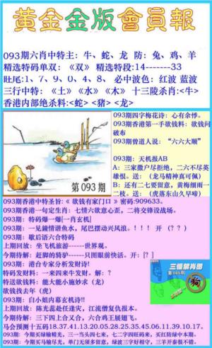 黄金金版会员报