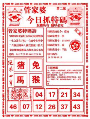 管家婆抓特码B