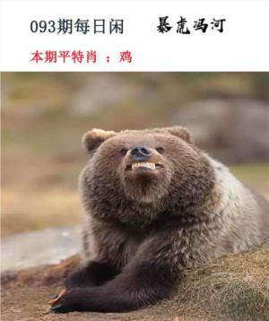 每日闲情