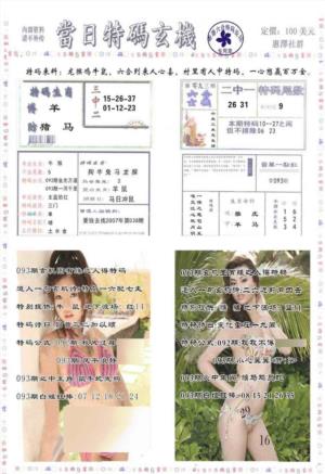 当日特码玄机-2