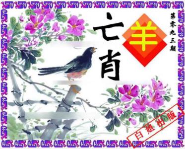 神鸟版