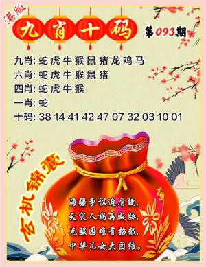 九肖十码