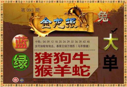 金龙报