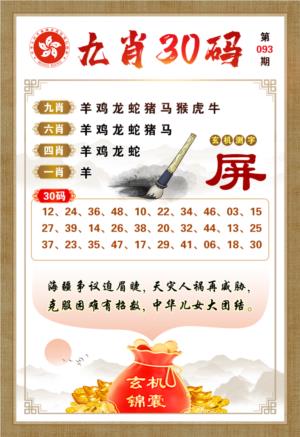 九肖30码