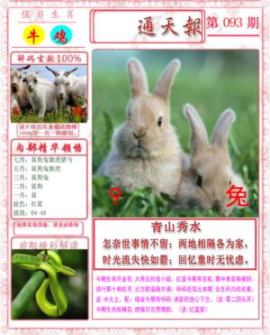 马经通天报