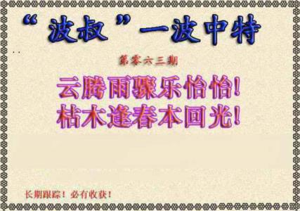 波叔一波中特