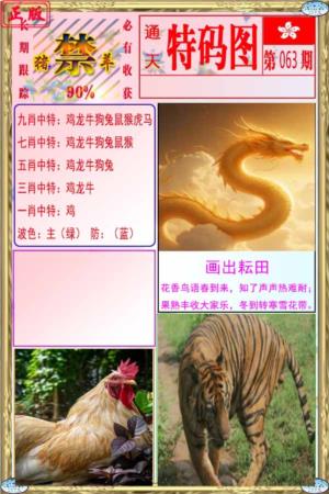 特码图
