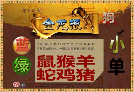 金龙报