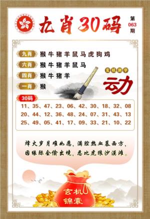 九肖30码