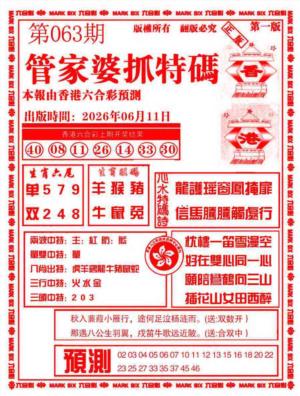 管家婆抓特码A